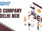 TechRank Agency, Best SEO Company in Delhi NCR, SEO Services Delhi, Google Business Profile Optimization Delhi, Local SEO Delhi NCR, Content Writing Services Delhi, Digital Marketing Delhi NCR, SEO Ex